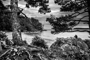 Tonquin Park, Tofino, BC-7544 Tonquin Park, Tofino, BC-7544